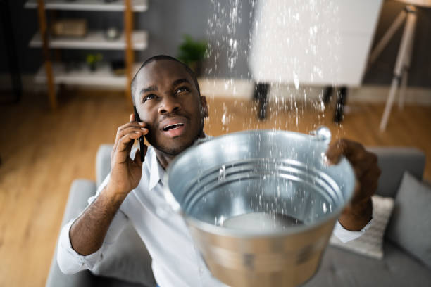 Best Local water damage restoration  in , DC