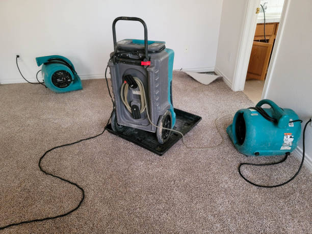 Best Water damage restoration near me  in , DC