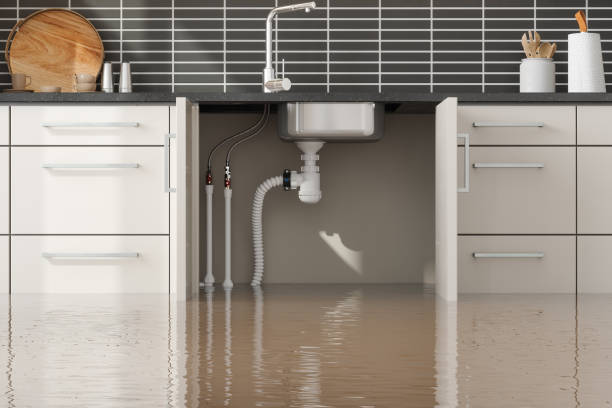 Best 24/7 water damage repair  in , DC